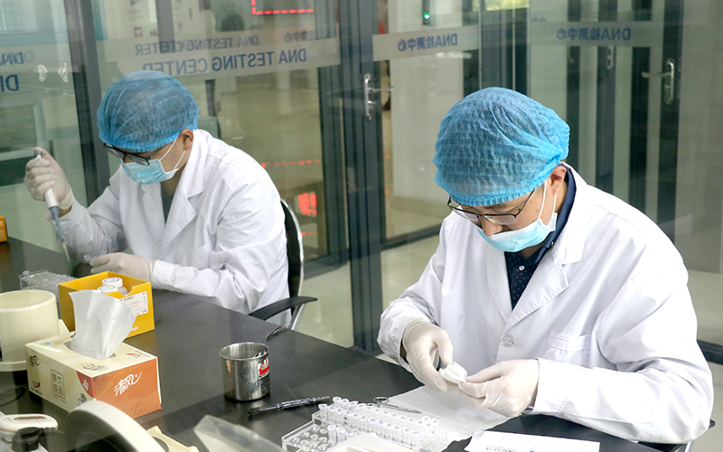 德阳个人亲子鉴定需要怎么办理,德阳隐私亲子鉴定详细流程及材料