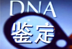 德阳权威迁户亲子鉴定中心，德阳迁户亲子鉴定电话地址查询