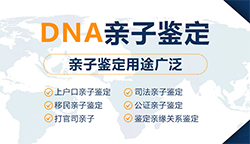 德阳司法DNA亲子鉴定大概收费，德阳专业的司法亲子鉴定机构