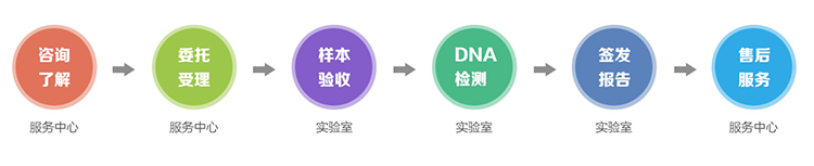 德阳隐私亲子鉴定流程