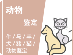 德阳动物鉴定